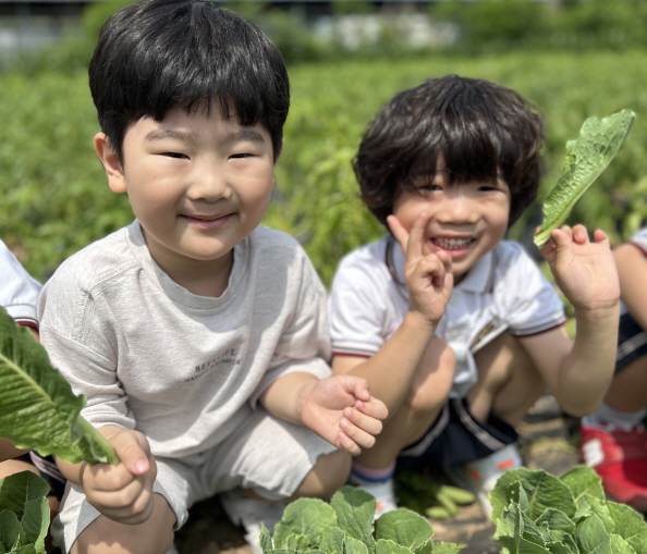 싱싱한 유기농 상추를 따요